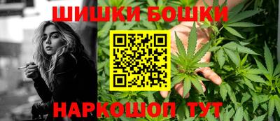 мдпв Славгород