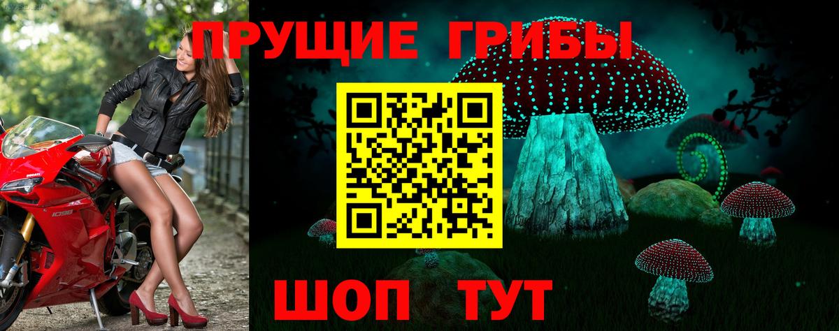 Острогожск  Галлюциногенные грибы прущие грибы  Вход с VPN 